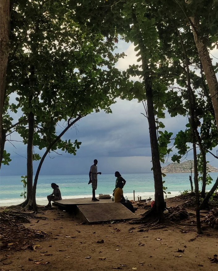 Praia com árvores e mar ao fundo